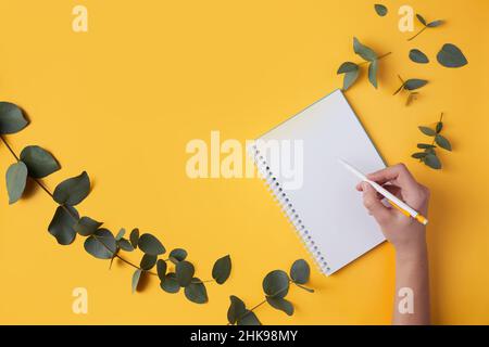 Eucalyptus leaves and a notebook, a woman's hand writes with a pen. Yellow background, text space, copy space. Flat lay. Stock Photo
