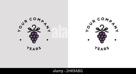 Unique and professional laundry logo design Stock Vector