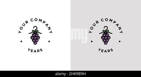 Unique and elegant laundry logo Stock Vector