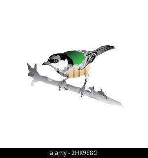 Attractive and colorful cute bird illustration Stock Vector