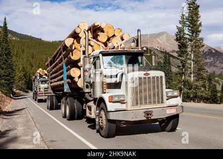 Trucks hauling logs through Monarch Pass in Colorado, USA Stock Photo