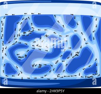 Set ant farms isolated on white background. Formicaria from gel. Ants in tunnels moving into terrarium. Teamwork concept. Vector illustration. Stock Vector