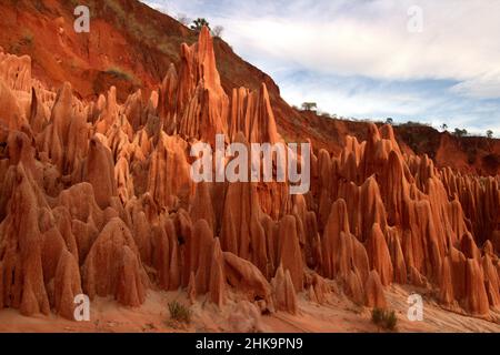 The Red Tsingy are true masterpieces of Nature, made up of sandstone, marl and limestone formed by erosion. One of the must-sees site in northern Mada Stock Photo