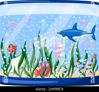 Big aquarium isolated on white background. Beautiful tanks jellyfish, shark, stingray, fish, algae, corals, bubbles. Colourful cartoon flat style. Vec Stock Vector