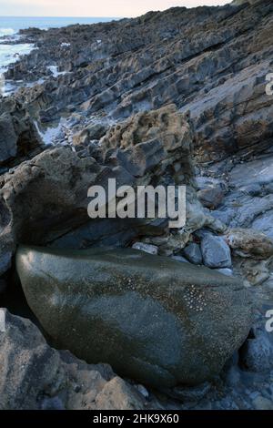 Green dolerite erratic carried on Irish Sea Glacier from Preseli to Mumbles c 19000 years ago. Stone such as this was used to construct Stonehenge. Stock Photo