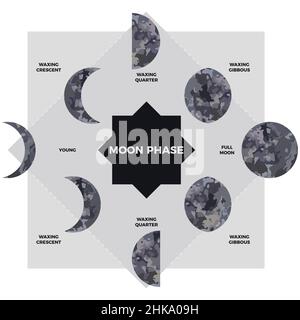 Moon phase. Textured surface of the moon. Lunar phases throughout the cycle.  Crescent type design. Astronomical observation of the earth's satellite f  Stock Vector Image & Art - Alamy