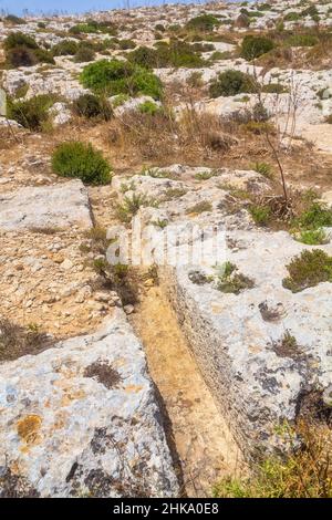 Cart ruts on the Malta island, known as Misrah Ghar il-Kbir or  Clapham Junction. A complex network of tracks gouged in the rock. Stock Photo