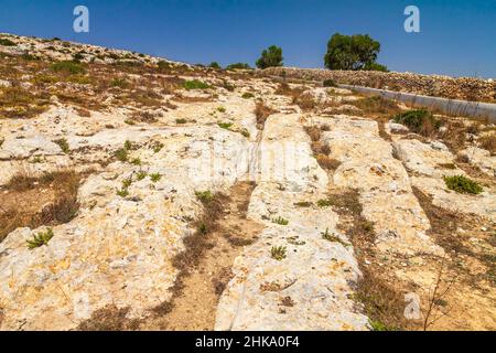 Cart ruts on the Malta island, known as Misrah Ghar il-Kbir or  Clapham Junction. A complex network of tracks gouged in the rock. Stock Photo