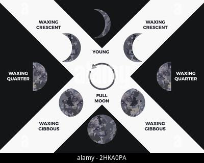 Moon phase. Textured surface of the moon. Lunar phases throughout the cycle. Crescent type design. Astronomical observation of the earth's satellite f Stock Vector