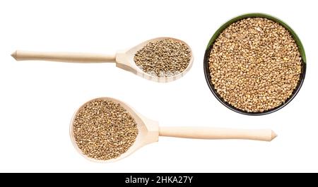 set of various whole-grain barnyard millet seeds isolated on white background Stock Photo