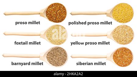 set of top views of wooden spoon with various millets with names isolated on white background Stock Photo