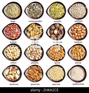 set of various cores of nuts with names in ceramic bowls isolated on white background Stock Photo