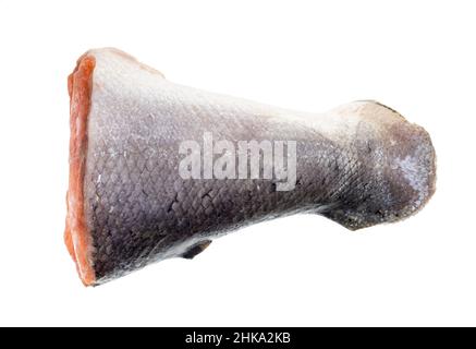 frozen tail part of atlantic salmon isolated on white background Stock Photo