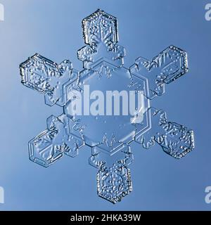 Snowflake on smooth gradient background grey to blue : macro photo of real snow crystal on glass surface. This is small snowflake with unusual pattern Stock Photo