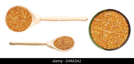 set of various siberian millet seeds isolated on white background Stock Photo