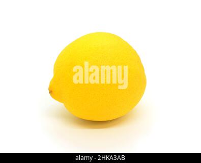 A whole one fresh ripe lemon on white background. Stock Photo