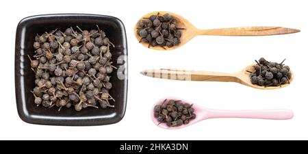 set of various tailed pepper (cubeb) isolated on white backgrouns Stock Photo