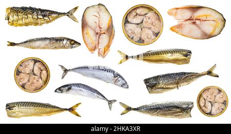 set of various cooked and raw mackerel fishes isolated on white background Stock Photo