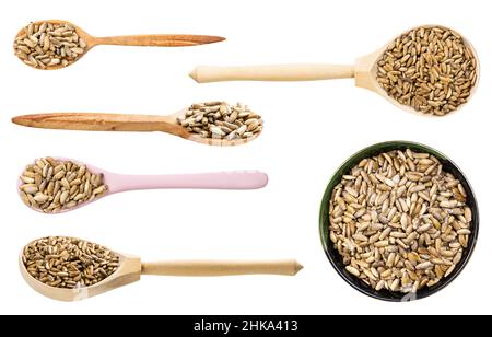 set of various milk thistle seeds isolated on white background Stock Photo