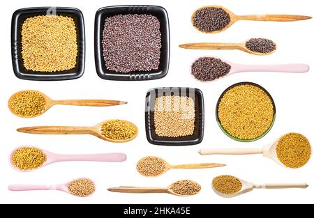 set of various mustard seeds isolated on white background Stock Photo