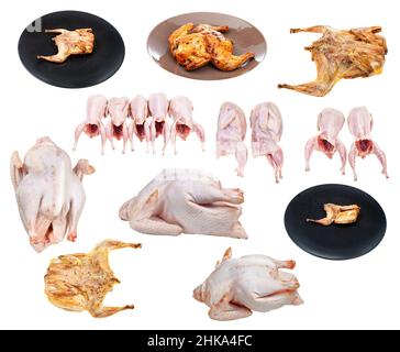 set of raw and roasted chickens and quails isolated on white background Stock Photo