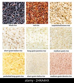 background - various rice grains with names Stock Photo - Alamy