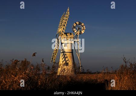 A fine art study of Thurne Dyke Drainage Mill in low evening light in a winter afternoon on the Norfolk Broads at Thurne, Norfolk, England, UK. Stock Photo