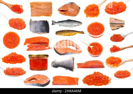 set of various raw and cooked salmon fishes and roe isolated on white background Stock Photo