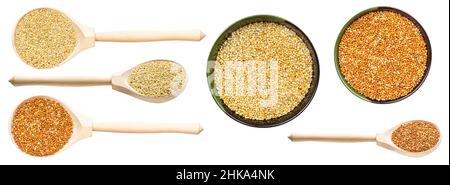 set of various setaria italica millet seeds isolated on white background Stock Photo