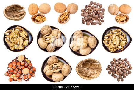 set of various walnuts isolated on white background Stock Photo