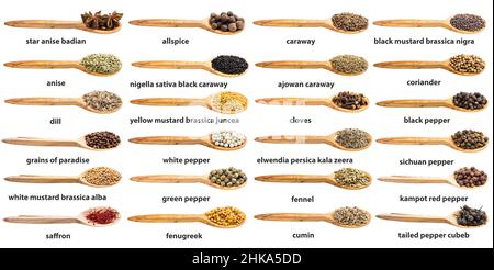 set of various spices in wooden spoon with names isolated on white backgrouns Stock Photo