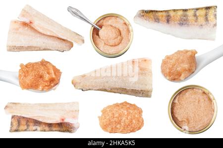 set of various zander fishes isolated on white background Stock Photo