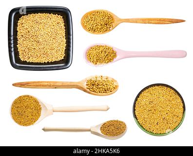 set of various yellow seeds of mustard isolated on white background Stock Photo