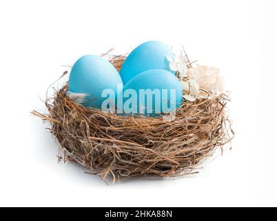 Three blue eggs in a nest isolated on a white background. Side view, close-up. Easter concept, Easter eggs. Stock Photo