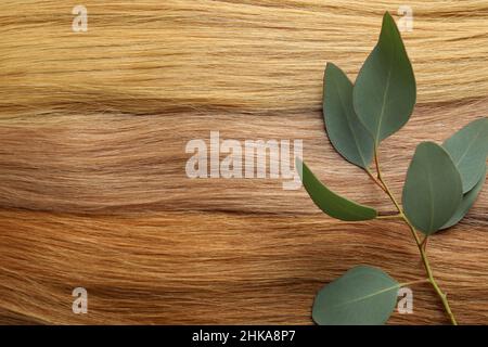 Different shade female hair on whole background Stock Photo