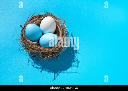 Three Easter eggs in a nest with a hard shadow on a blue background. Easter background. Side view. Stock Photo