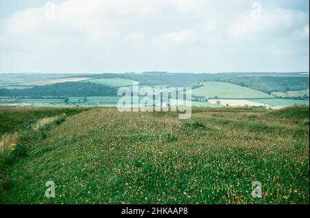 Hod Hill - Iron Age then Roman fort in the Blackmore Vale, Dorset, England. The hillfort was inhabited by the Durotriges in the late Iron Age, then captured by Romans. South West corner of the Roman fort. Archival scan from a slide. November 1973. Stock Photo