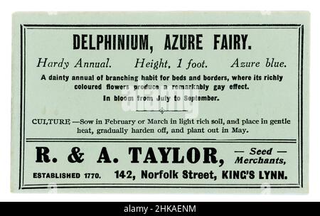 Original early 1900's seed packet containing seeds for delphinium, variety Azure Fairy, from seed merchants R & A Taylor of King's Lynn, Norfolk, England, U.K. circa 1930's Stock Photo