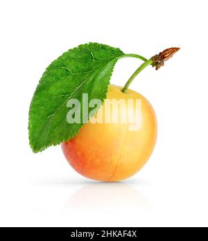 Yellow cherry plum with leaves isolated on white backgrounds with clipping path. Stock Photo