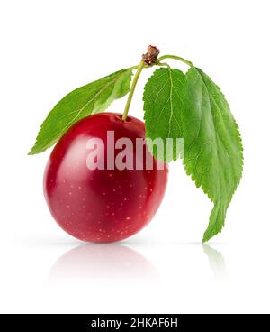 Red cherry plum with leaves isolated on white backgrounds with clipping path. Stock Photo