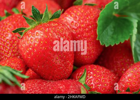 Summer background of fresh ripe strawberries. Close up Stock Photo