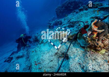 Underwater archaeologists digging BC 2nd century shipwreck in Bozburun Marmaris Turkey. Underwater archaeologists digging BC 2nd century shipwreck in Bozburun Marmaris Turkey.