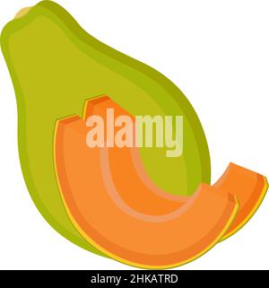 Papaya, whole fruit and slices, on white background, vector illustration Stock Vector