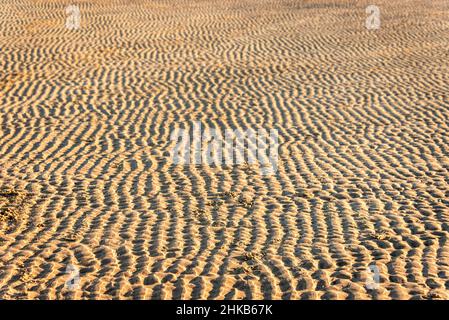 Rippled sand at low tide on the beach. Stock Photo