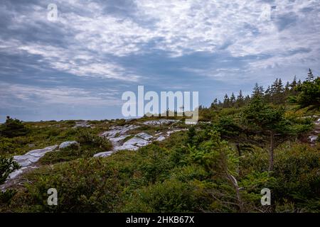 Duncan’s Cove Nature Reserve Stock Photo