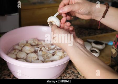 https://l450v.alamy.com/450v/2hkb6f3/woman-cleaning-edible-peeled-mushrooms-in-a-bowl-in-the-kitchen-food-preparation-for-dinner-fresh-and-raw-mushrooms-in-a-bowl-of-water-2hkb6f3.jpg