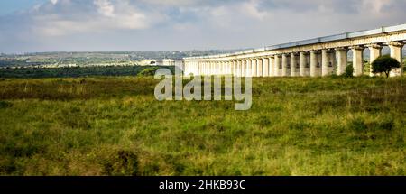 View of the collosal Mombasa-Nairobi Standard Gauge Railway Bridge through the Nairobi National Park Nature Reserve near Nairobi, Kenya Stock Photo