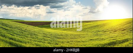 panoramic view of plowed field and a field of winter wheat in the hilly terrain with cloudly sky of Ukraine Stock Photo