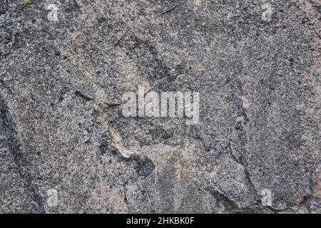 Natural stone background detail in grey tone. Texture Stock Photo
