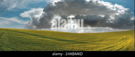 A large green field before the rain. Fertile soil in the hills. Thick clouds over farm land in the evening Stock Photo